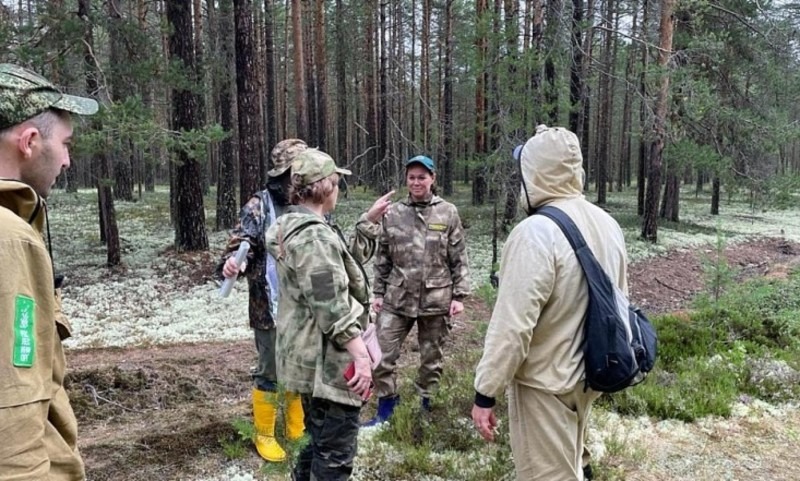 Опыт лесоустройства Архангельской области применят в других регионах России