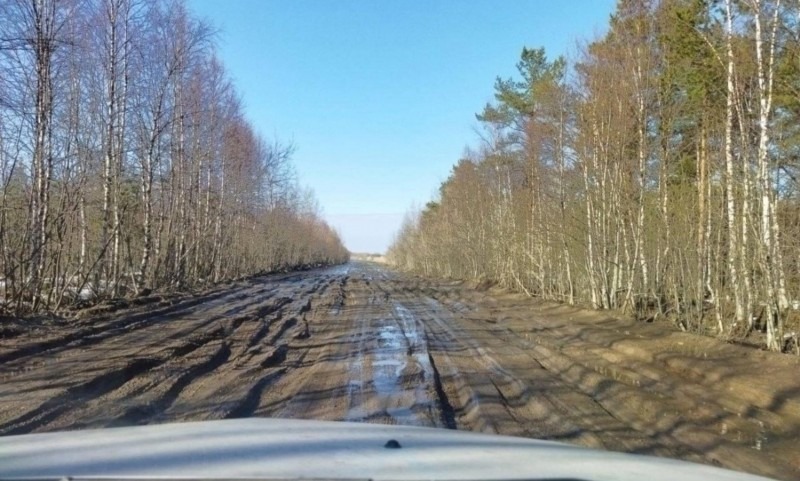 Глава Северодвинска прокомментировал плохое состояние дороги в СНТ «Уйма»