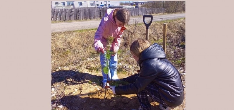 Активисты Движения Первых Лесозаводской школы Коноши приняли участие в акции «Сад Памяти»