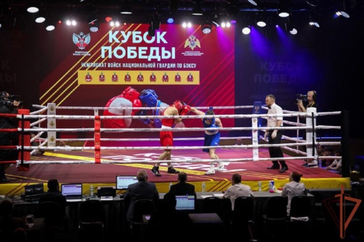 Спортсмен из Архангельской области стал полуфиналистом чемпионата Росгвардии по боксу