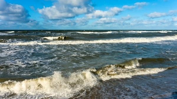 В Архангельске и области сегодня ожидается сильный ветер