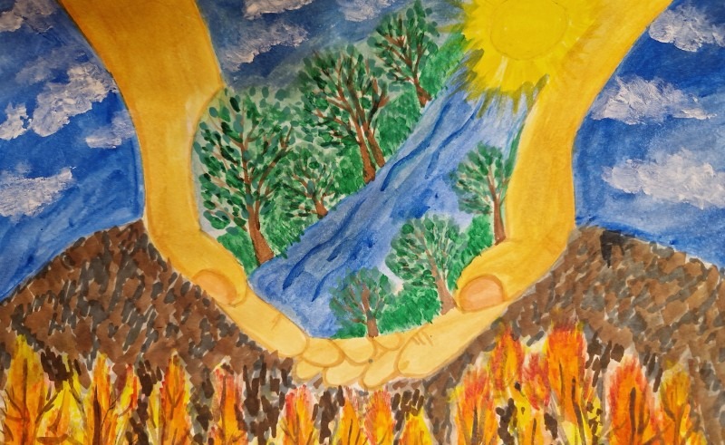 В Архангельской области подвели итоги конкурса «Защитим лес от пожаров»