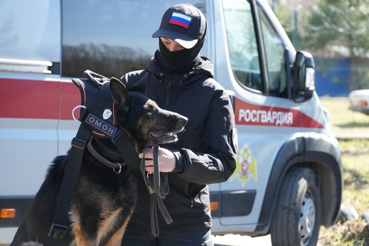 В Архангельске с почестями проводили на заслуженный отдых служебную собаку Росгвардии