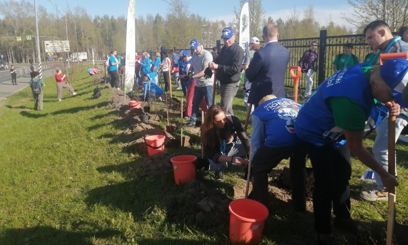 В Архангельске заложили «Аллею регионов»