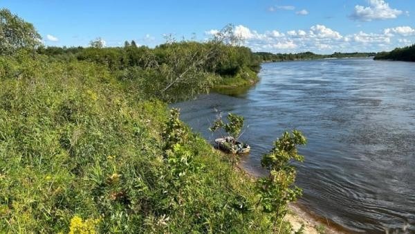 На юге Архангельской области мужчина пошел купаться пьяным и утонул 