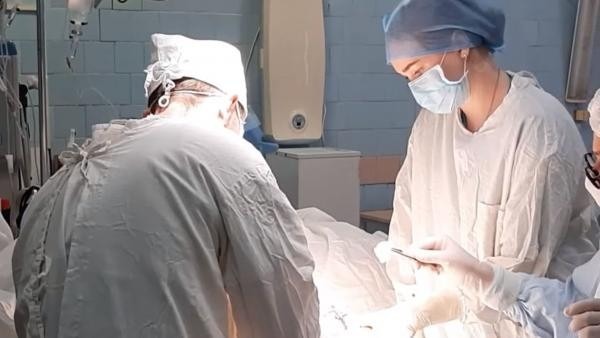 Котласские врачи сохранили руку пациенту после многочисленных укусов собаки