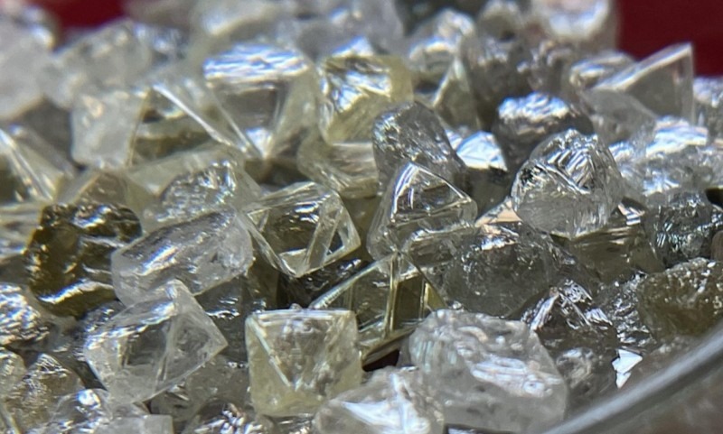 В Архангельской области ищут месторождения алмазов