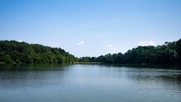 В Архангельской области пенсионер уплыл на лодке рыбачить и пропал