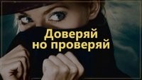 Доверяй, но проверяй: Северодвинца ограбила девушка с нехилым «послужным списком» преступлений