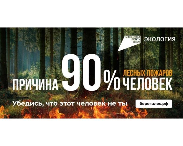 Минлеспром напоминает об ответственности за нарушение правил пожарной безопасности в лесах