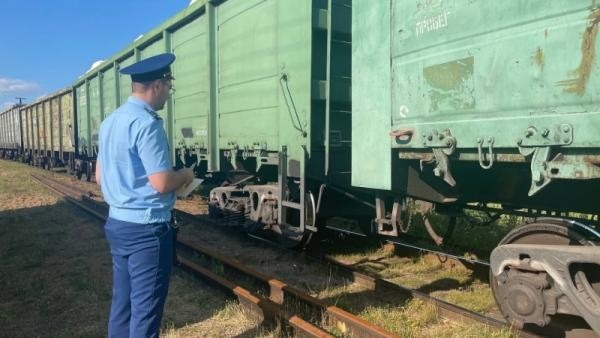 Грузовой поезд сошел с рельсов на архангельской ж/д станции 