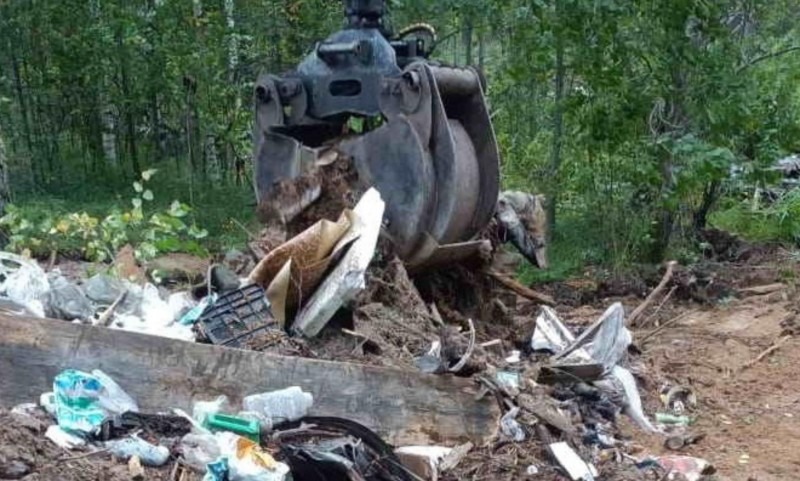 В лесах Поморья станет чище