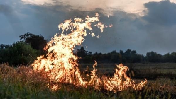 Чрезвычайный класс пожароопасности установили на юге Архангельской области