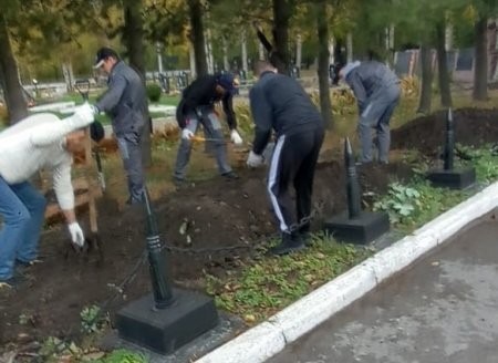 Осужденные Архангельска с воодушевлением чистят город