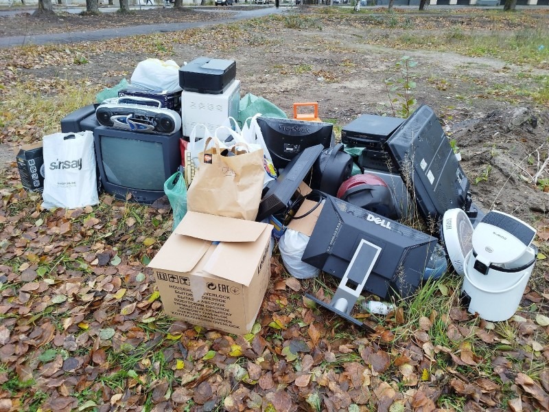 В Архангельской области вновь стартует «Электросбор»