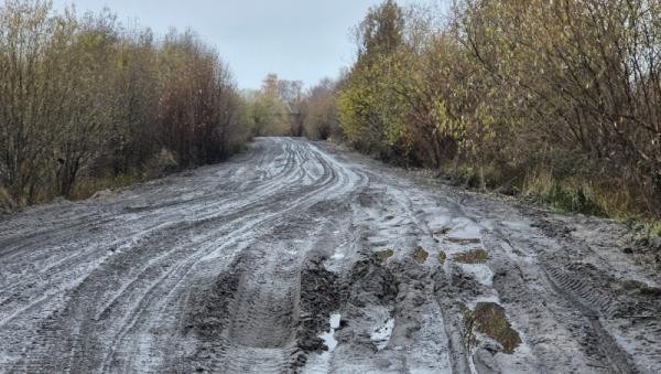 Глава Архангельска прокомментировал ситуацию с убитой дорогой на Бревеннике