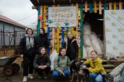 Студенты САФУ съездили в приют для помощи бездомным животным