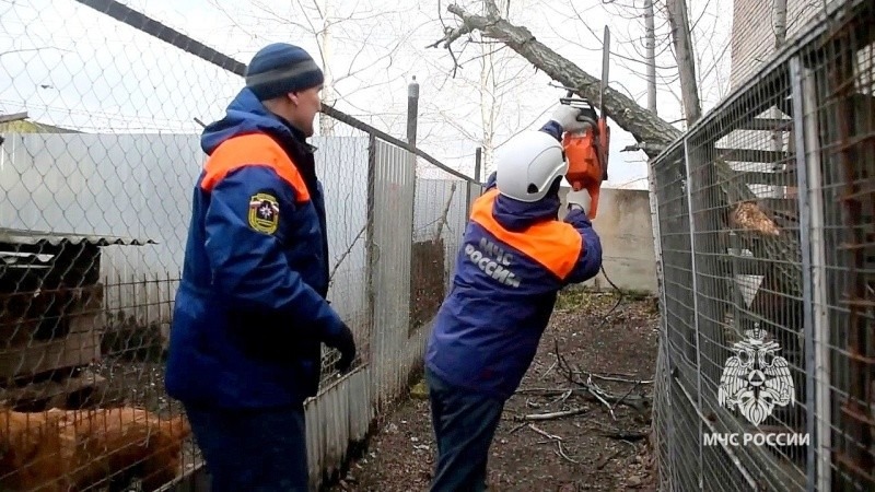 Сотрудники МЧС России в ЕАО помогли собачьему приюту