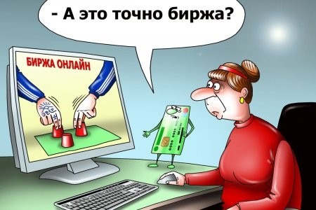 Трое жителей Поморья обломались с попыткой разбогатеть на биржевой игре