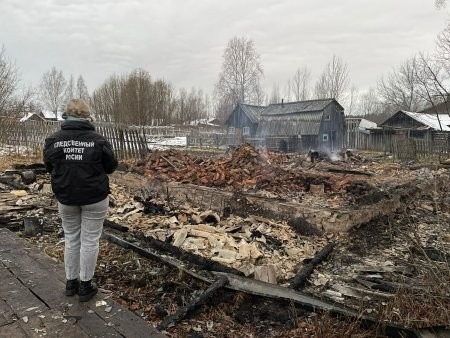 В Устьянском районе при пожаре погибла семья из трех человек