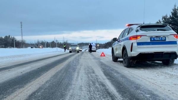 В Архангельской области пенсионер погиб под колесами иномарки, перебегая трассу