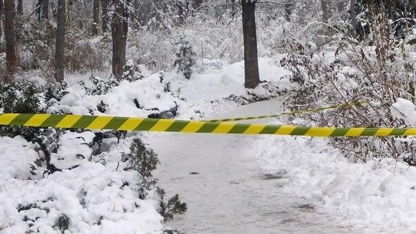 Ребенок погиб при самостоятельной поездке на «мотособаке» в пригороде Архангельска