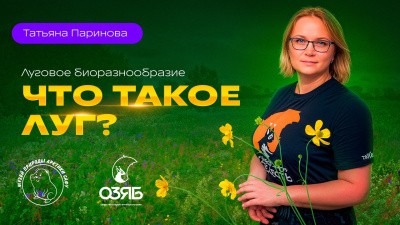 Преподаватель САФУ разработала цикл видеолекций об уникальной северной природе 