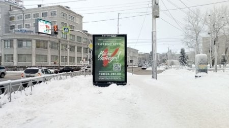 Плакаты Народного фронта мотивируют архангелогородцев