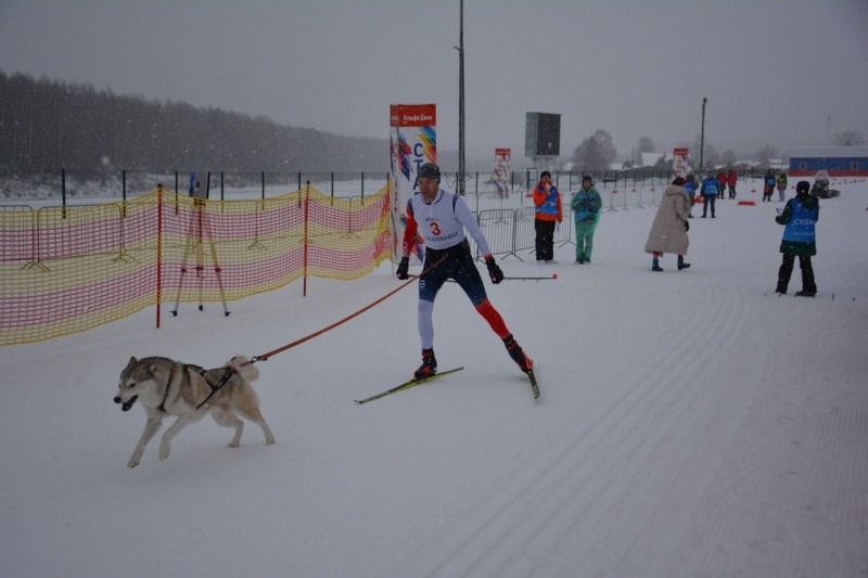 В Малиновке завершился чемпионат Северо-Запада России по ездовому спорту