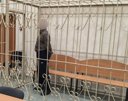 В Вельском районе Архангельской области задержан пожилой злодей