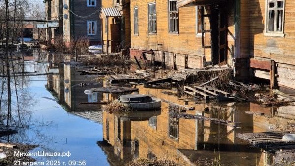 Архангельский поселок снова топит зловонными реками: это повторяется уже 4-ый год Архангельский поселок снова топит зловонными реками: это повторяется уже 4-ый год