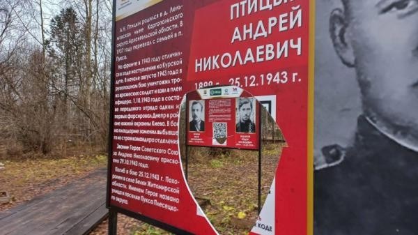 Юный северянин, искромсавший стенды с героями войны, потрудится на благо общества Юный северянин, искромсавший стенды с героями войны, потрудится на благо общества