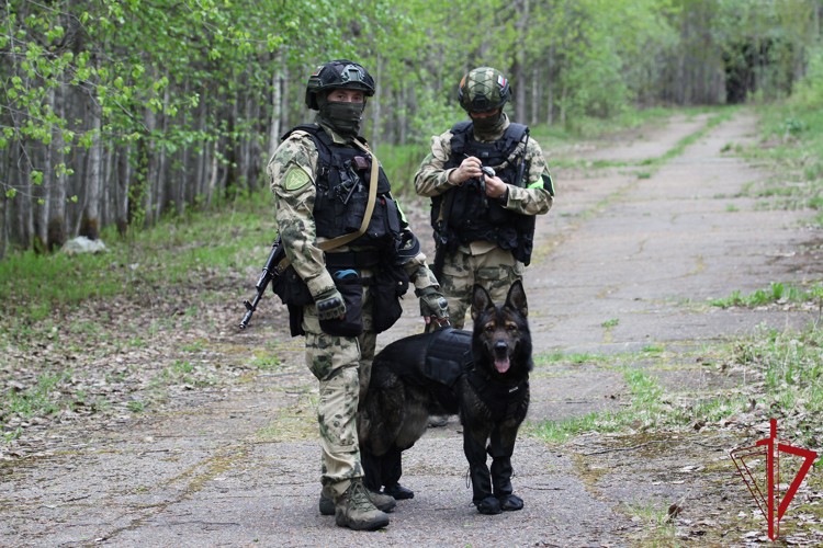 Управление Росгвардии по Архангельской области приняло участие в антитеррористическом учении Управление Росгвардии по Архангельской области приняло участие в антитеррористическом учении