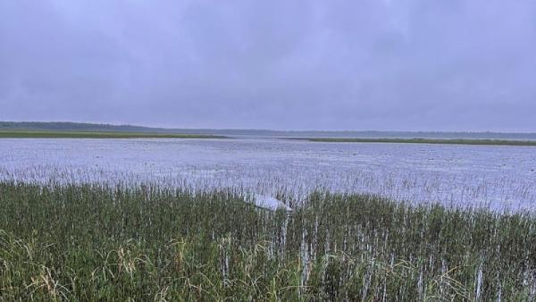 В Архангельской области три дня искали пожилого рыбака: его нашли утонувшим В Архангельской области три дня искали пожилого рыбака: его нашли утонувшим