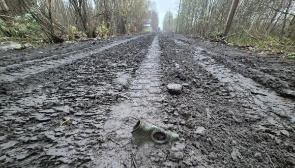 Архангельская область снова стала абсолютным антилидером дорожного рейтинга России Архангельская область снова стала абсолютным антилидером дорожного рейтинга России