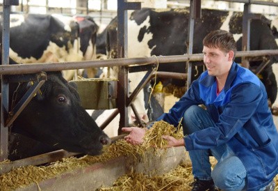 Будущее фермерской отрасли: продажи через интернет