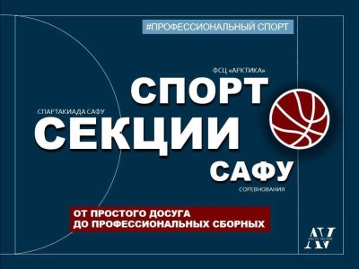 От простого досуга до профессиональных сборных От простого досуга до профессиональных сборных