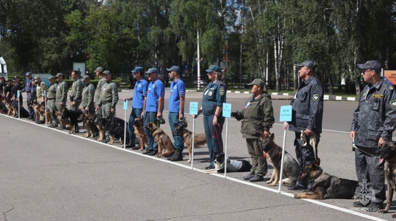 В подмосковном Ногинске проходит чемпионат МЧС России среди кинологов