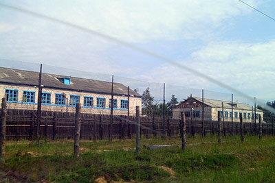 Осужденный колонии в Вельске кичился принадлежностью к нацистской идеологии