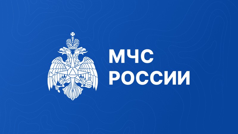 Делегация МЧС России принимает участие в мероприятиях Большой двадцатки