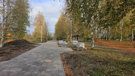 В Коряжме появится специальный сад для инвалидов-колясочников