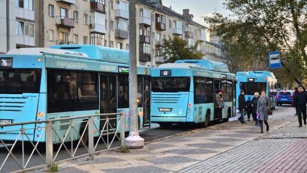 Сорваны десятки рейсов: автобусная забастовка добралась до Архангельска Сорваны десятки рейсов: автобусная забастовка добралась до Архангельска