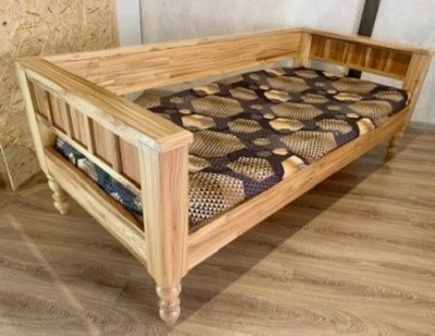 Вторая жизнь деревьев Дендрологического сада САФУ