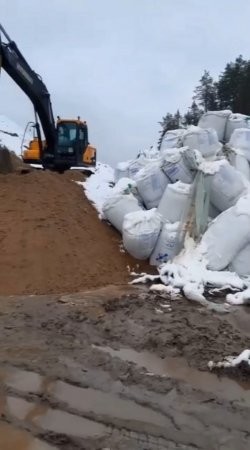 Вместо грибов - мусор. Дорожники загадили леса Приморского округа