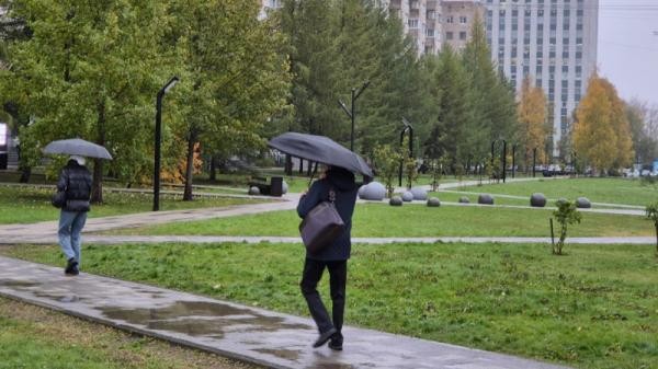 Дожди сменятся прояснениями: Архангельская область готовится к тихой осени Дожди сменятся прояснениями: Архангельская область готовится к тихой осени