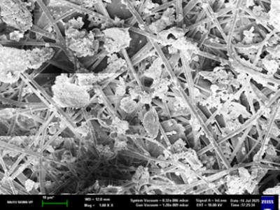 Активный ил сточных вод как топливо исследовали в САФУ Активный ил сточных вод как топливо исследовали в САФУ