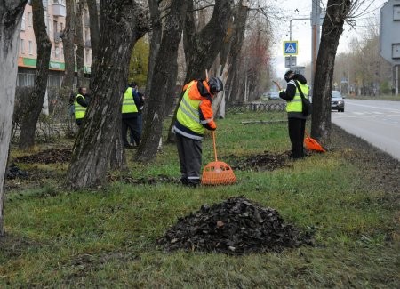 Северодвинск избавляется от палой листвы