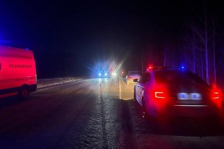 В воскресенье на дорогах Поморья очень не везло пешеходам