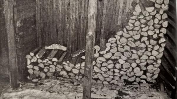 Архангелогородца ждет суд за «поленную мину» и попытку убить четырех человек