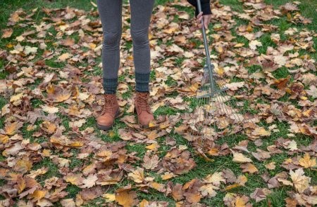 Архангельские приставы заставили нерадивую мать безвозмездно убирать город